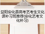 益阳安化县高考艺考生文化课补习班推荐(安化艺考文化补习)