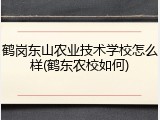 鹤岗东山农业技术学校怎么样(鹤东农校如何)