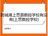 防城港上思县数控学校有没有(上思数控学校)