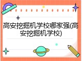 高安挖掘机学校哪家强(高安挖掘机学校)