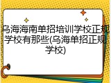 乌海海南单招培训学校正规学校有那些(乌海单招正规学校)