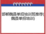 邯郸魏县单招培训班推荐(魏县单招培训)