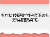 枣庄科技职业学院梁飞老师(枣庄职院梁飞)