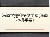 滴道学挖机多少学费(滴道挖机学费)