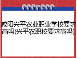 咸阳兴平农业职业学校要求高吗(兴平农职校要求高吗)