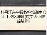 牡丹江东宁县数控培训中心职中校区地址(东宁职中数控培训)