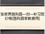 张家界慈利县一对一补习班价格(慈利县家教费用)