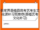 张家界桑植县高考艺考生文化课补习班推荐(桑植艺考文化补习)