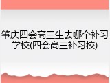 肇庆四会高三生去哪个补习学校(四会高三补习校)