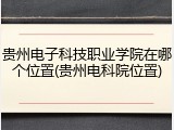 贵州电子科技职业学院在哪个位置(贵州电科院位置)