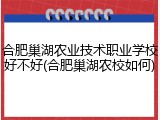 合肥巢湖农业技术职业学校好不好(合肥巢湖农校如何)