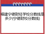 福建宁德财经学校分数线是多少(宁德财校分数线)