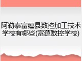 阿勒泰富蕴县数控加工技术学校有哪些(富蕴数控学校)