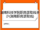 湖南科技学院职高录取线多少(湖南职高录取线)