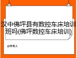 汉中佛坪县有数控车床培训班吗(佛坪数控车床培训)