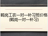 鹤岗工农一对一补习班价格(鹤岗一对一补习)