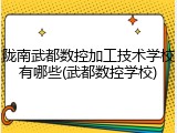 陇南武都数控加工技术学校有哪些(武都数控学校)