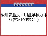 梧州农业技术职业学校好不好(梧州农校如何)