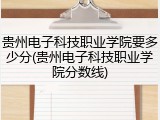 贵州电子科技职业学院要多少分(贵州电子科技职业学院分数线)