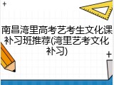南昌湾里高考艺考生文化课补习班推荐(湾里艺考文化补习)