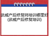 武威产后修复师培训哪里好(武威产后修复培训)