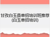 甘孜白玉县单招培训班推荐(白玉单招培训)