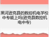 黑河逊克县的数控机电学校中专能上吗(逊克县数控机电中专)