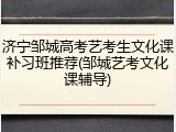济宁邹城高考艺考生文化课补习班推荐(邹城艺考文化课辅导)