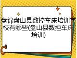 盘锦盘山县数控车床培训学校有哪些(盘山县数控车床培训)