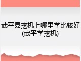 武平县挖机上哪里学比较好(武平学挖机)