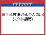 汉江科技张兴林个人简历(张兴林简历)