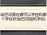 哈巴河县在哪可以学挖机哪个学校好(哈巴河挖机学校)