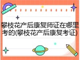 攀枝花产后康复师证在哪里考的(攀枝花产后康复考证)