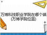 万博科技职业学院在哪个镇(万博学院位置)