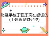 财经学校丁强职高在哪读的(丁强职高财经校)