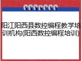 阳江阳西县数控编程教学培训机构(阳西数控编程培训)