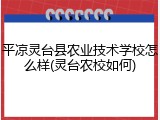 平凉灵台县农业技术学校怎么样(灵台农校如何)