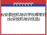 台安县挖机培训学校哪家好(台安挖机培训优选)