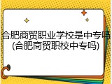 合肥商贸职业学校是中专吗(合肥商贸职校中专吗)
