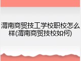 渭南商贸技工学校职校怎么样(渭南商贸技校如何)