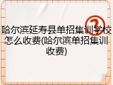 哈尔滨延寿县单招集训学校怎么收费(哈尔滨单招集训收费)