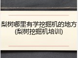 梨树哪里有学挖掘机的地方(梨树挖掘机培训)