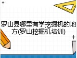 罗山县哪里有学挖掘机的地方(罗山挖掘机培训)