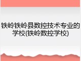 铁岭铁岭县数控技术专业的学校(铁岭数控学校)