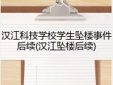 汉江科技学校学生坠楼事件后续(汉江坠楼后续)