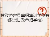 甘孜泸定县单招集训学校有哪些(甘孜单招学校)