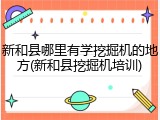 新和县哪里有学挖掘机的地方(新和县挖掘机培训)