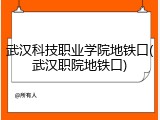 武汉科技职业学院地铁口(武汉职院地铁口)