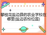 攀枝花盐边县的农业学校在哪里(盐边农校位置)