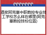 酒泉阿克塞中职数控专业技工学校怎么样在哪里(阿克塞数控技校位置)